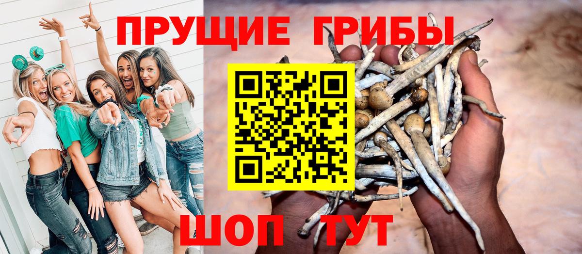 Псилоцибиновые грибы Psilocybe  Вход с VPN  Ступино 